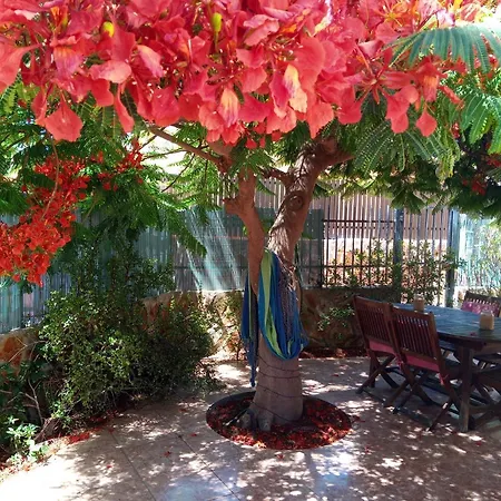 Bungalow Con Flamboyan En Maspalomas * 普拉亚戴尔雷安格莱斯